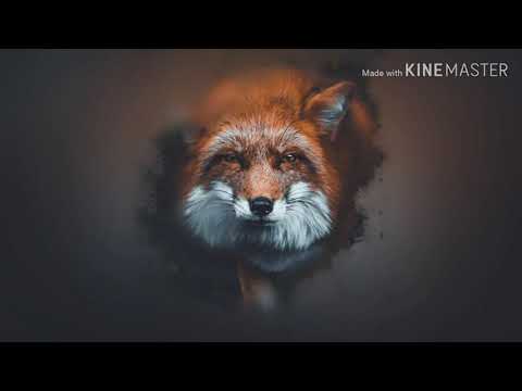 Wawa - SOMBRITA ( Lauer & Canard ft Greg Note Rmx) (Bass Boosted)