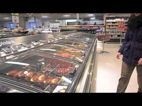 Red regnskoven og miljøet