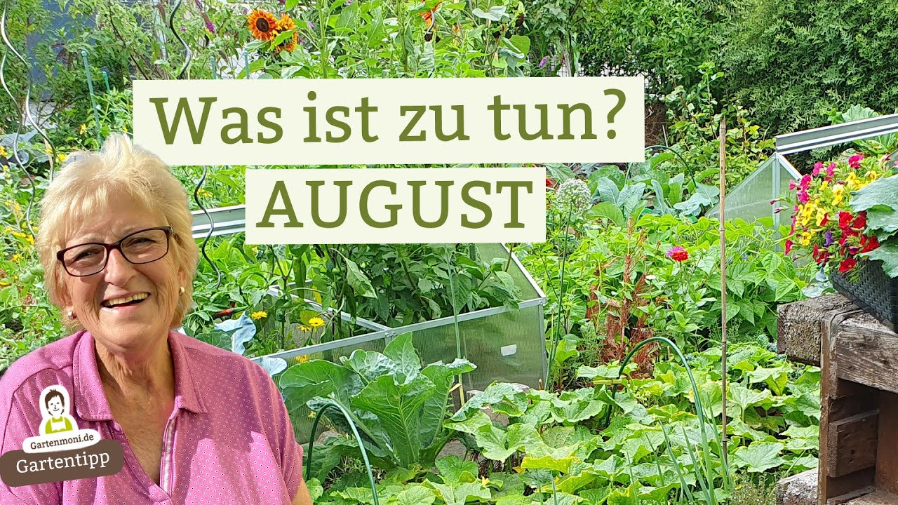 youtube video id=V7acW_5xgtA