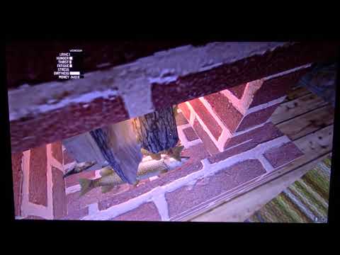 MongoTV_933 - Part 28 - My Summer Car - How To Get a Good Start In Game