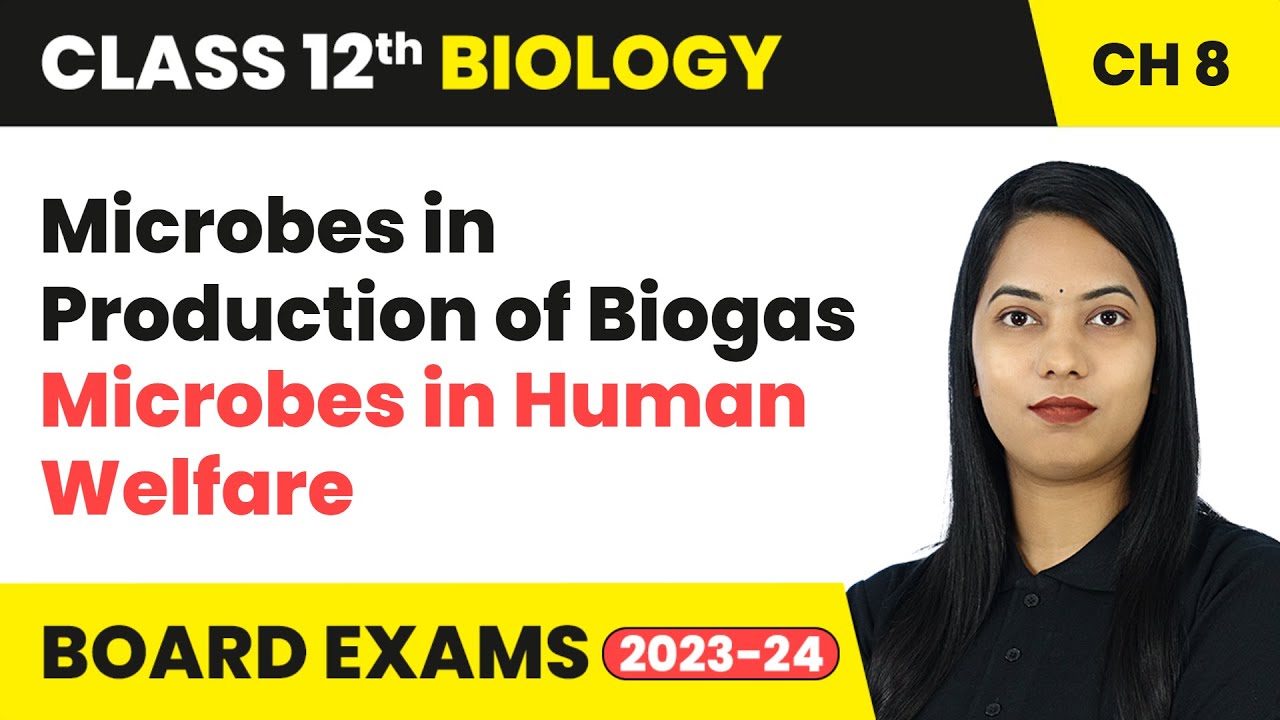 Microbes in Production of Biogas - Microbes in Human Welfare | Class 12 Biology Chapter 8 | CBSE