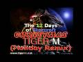 Starcraft Twelve Days of Christmas Remix 2008 ...