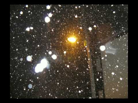 Jasna Zlokic - Zagrebacka zima