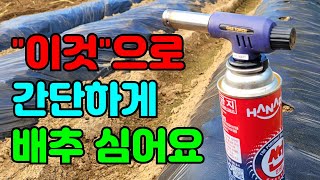 배추 직파할때 이것으로 심으면 일이 너무 편해요.
