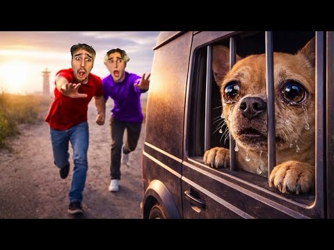 WHO KIDNAPPED OUR DOG?! 😨