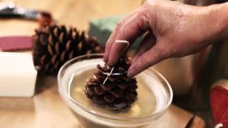 Pine Cone Fire Starters are Kind of Amazing