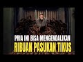 Seorang Pria Yang Mempunyai Pasukan Ribuan Tikus Alur Cerita Film WILLARD 2003