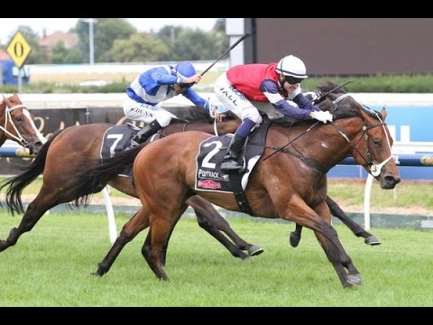 ARMANASCO STAKES-28FEB CAULFIELD