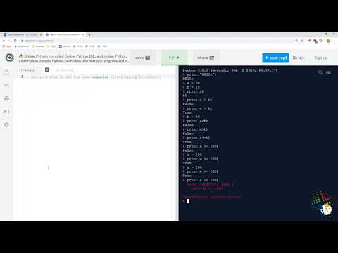 Python Institute lab 3.1.1.5