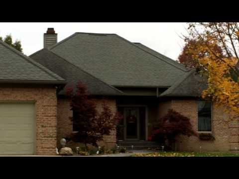 Remove Mold From Your Roof with Copper Cat