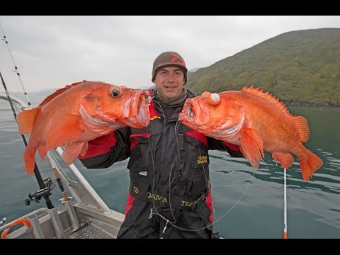 Angeln in Norwegen: Angelreisen Hamburg DVD Trailer 2015