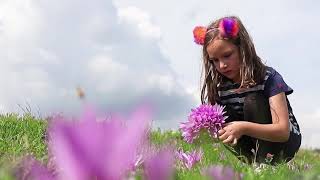 Golija - The Beauty of Serbia's Mountains