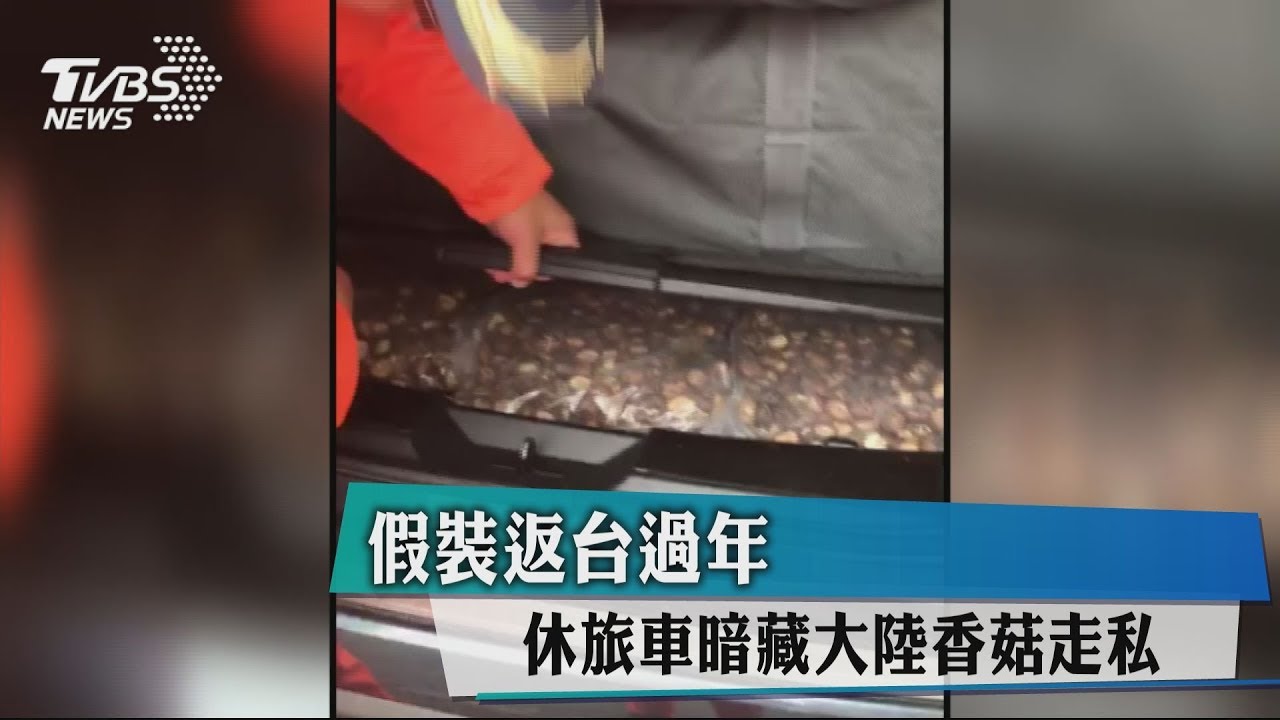 海巡查獲走私香菇 高雄港起出90公斤