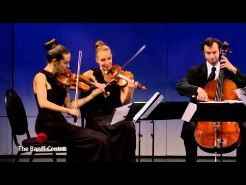 BISQC 2013 - Linden String Quartet - Franz Schubert Quartet No. 10 in E flat Major