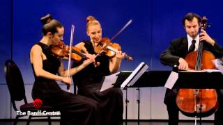 BISQC 2013 - Linden String Quartet - Franz Schubert Quartet No. 10 in E flat Major