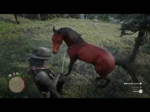 domando o PURO SANGUE ÁRABE VERMELHO - Red Dead Redemption 2.
