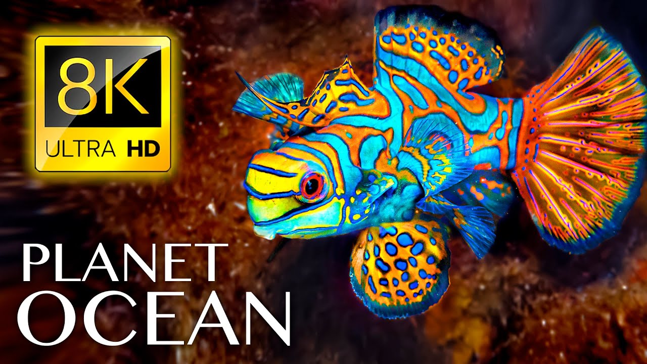 Planet Ocean (8K, БГ субтитри)