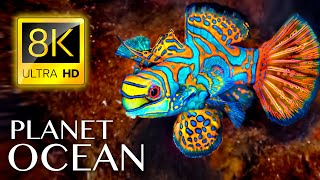 Planet Ocean (8K, БГ субтитри)