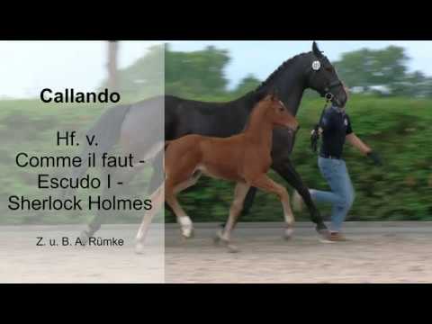 Hf v Comme il faut x Escudo I x Sherlock Holmes 2019