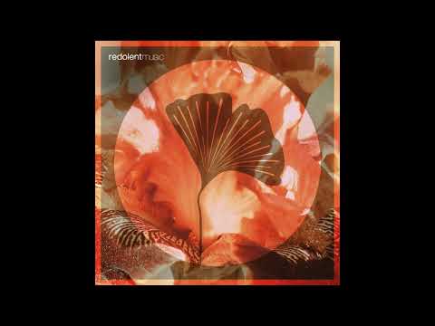 Anturage, Alexey Union, Alar - Safely (Original Mix)