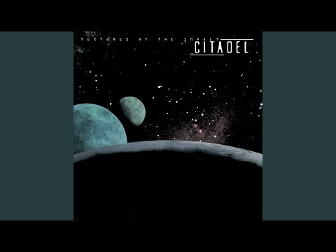 The Rise of the Bugs