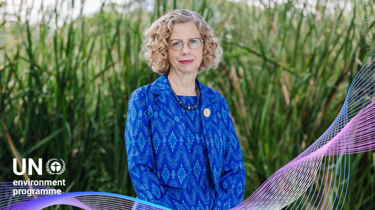UN Environment Programme Executive Director Message | World Environment Day 2026 #nowforclimate