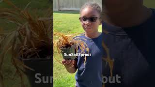 Download lagu Welcome❗️ mp3 Download lagu Welcome❗️ mp3