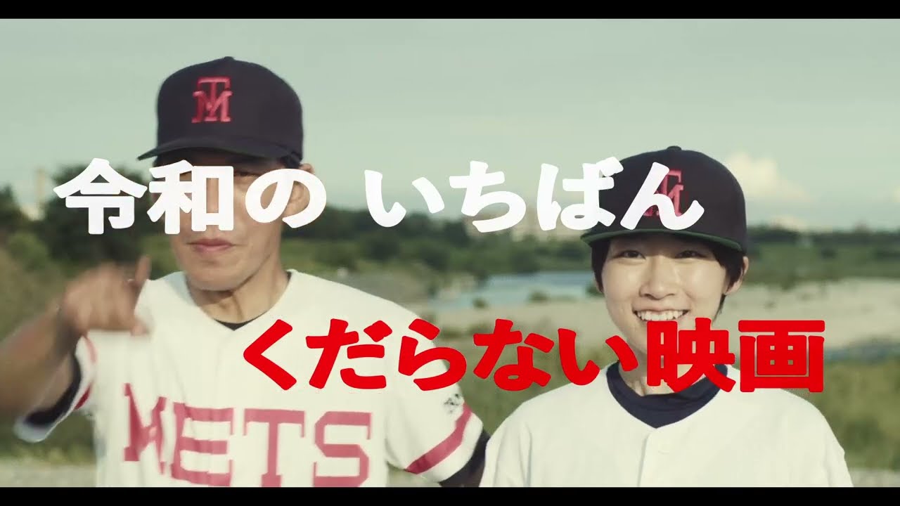 Baseball Idiot Widow