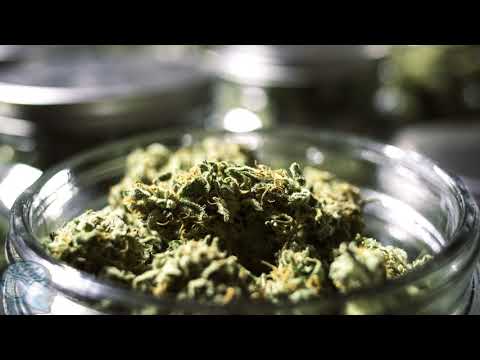 download lagu mp3 mp4 Marijuana Binaural Beats, download lagu Marijuana Binaural Beats gratis, unduh video klip Marijuana Binaural Beats