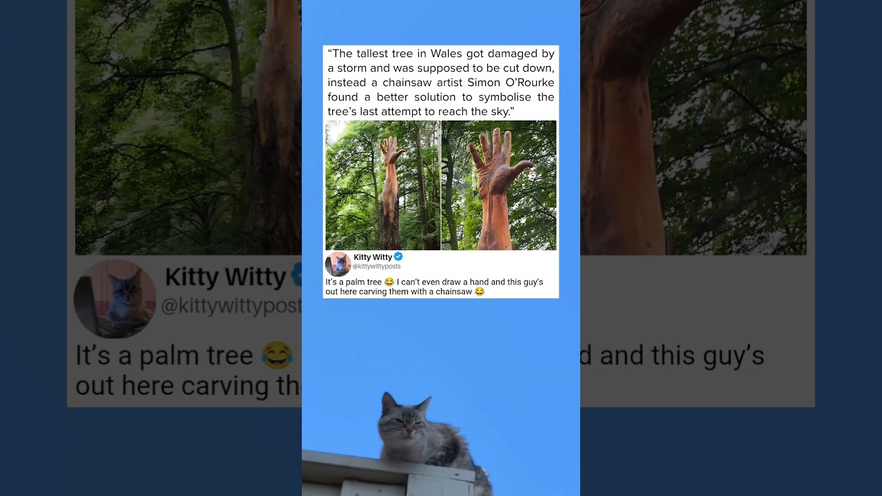 A tree’s final reach frozen forever