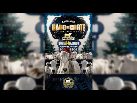 LEILÃO GADO DE CORTE FORMOSO LEILÕES - FORMOSO - GO - 04/12/2025