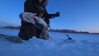 Клев в крайний день на севере был отличный!