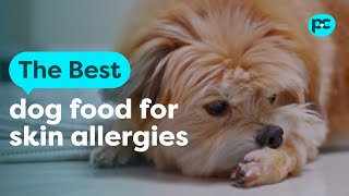 The best #dog food for skin allergies | PET CIRCLE