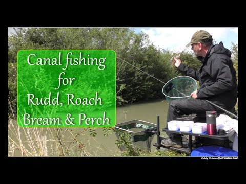 Canal fishing for rudd, roach, bream and perch with Andrew Bolderson - Adrenaline-Rush