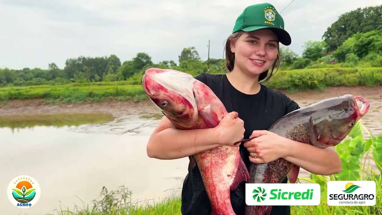 🌊🐟 Produtor rural transforma terra perdida em nova fonte de renda com a piscicultura