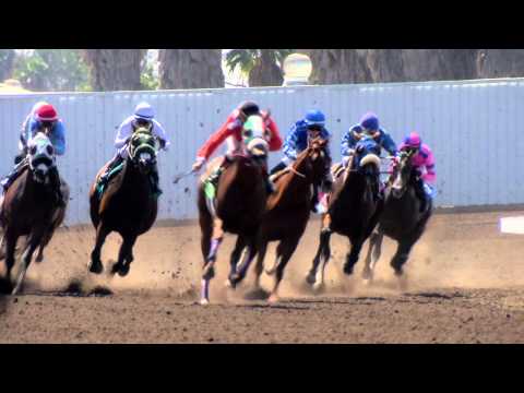 2015 Los Alamitos Summer Meet Kicks Off Thursday