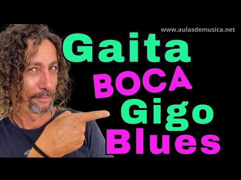 Curso de Gaita de Boca Iniciante e Intermediário com Gigo Blues  Aprenda  Gaita Diatonica Online