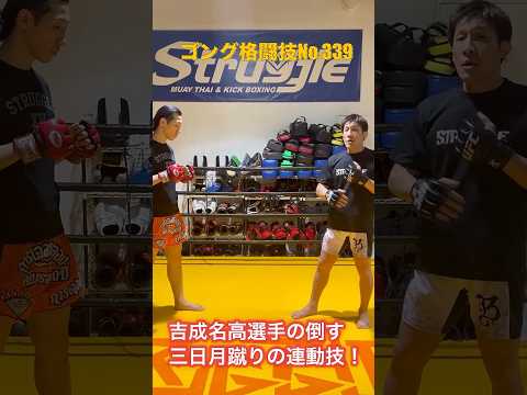 【三日月蹴りの連動パターン】ゴン格で解説、吉成名高選手テクニック　ハイキック→三日月蹴り・三日月蹴り→左ストレート
