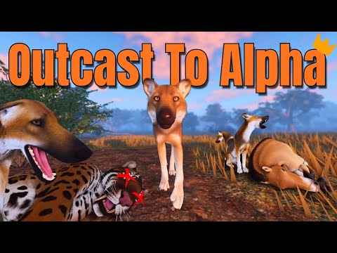 How My Lone Wolf Went From Outcast To Alpha | Ecos La Brea