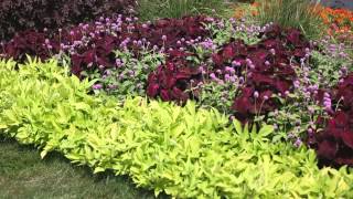 Garden Landscape - How to Design a Garden - YouTube