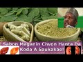 MAGANIN CIWON KODA DA HANTA BY ABDULWAHAB GWANI BAUCHI