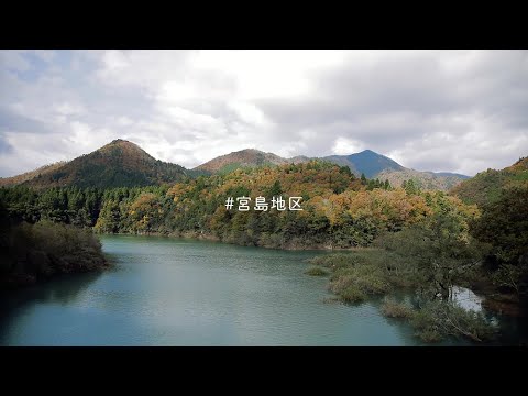 MIYAMOBI miyajima Chinese