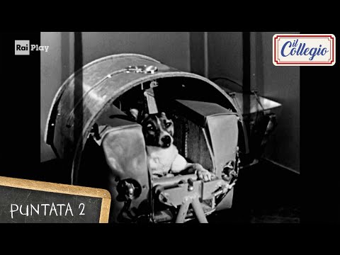 Laika, la cagnolina dello spazio - Seconda Puntata - Il Collegio 7