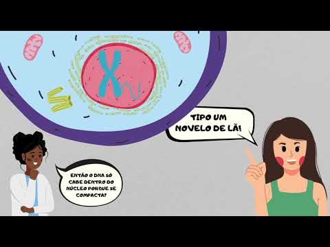 DNA, Cromossomo e Cromatina: Nunca mais confunda esses três conceitos