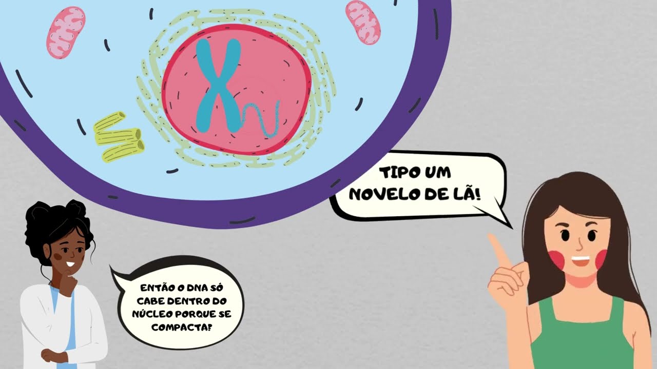 DNA, Cromossomo e Cromatina: Nunca mais confunda esses três conceitos