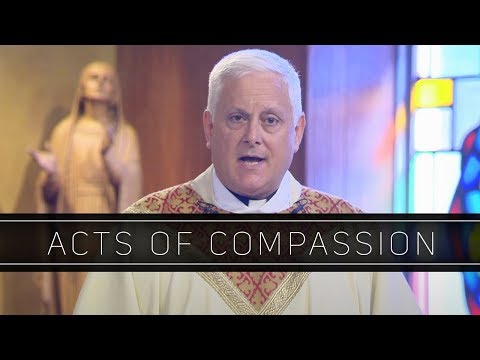 Acts of Compassion | Homily: Father Kevin Sepe
