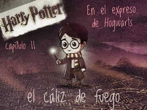 11 En El Expreso De Hogwarts - Harry Potter El Caliz De Fuego