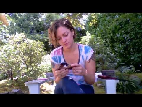 August 4, 2015 Daily Tarot Reading