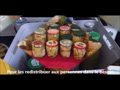 Une colocation solidaire en Sud-Gironde