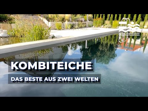 Kombiteich - Das Beste aus zwei Welten